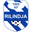 Home team logo