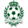 Home team logo