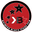Home team logo