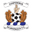 Home team logo