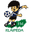 Home team logo