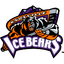 Knoxville Ice Bears