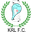 Home team logo