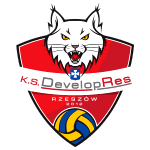 Девелопрес Жешов logo