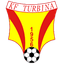 КС Турбина Серрик logo