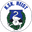 Home team logo