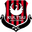 Home team logo