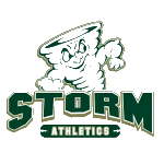 home team logo
