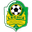Home team logo