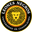 Home team logo