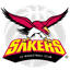 Changwon LG Sakers