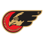 Ястребы Простеёв logo