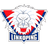 teamLogo