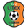 Home team logo