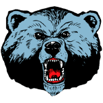 home team logo