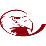 Замок Haven Bald Eagles logo