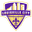 Home team logo
