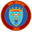 Home team logo