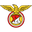 Home team logo