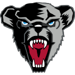 Мэн Черные Медведи