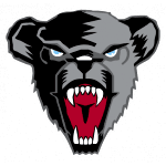 Мэн Черные Медведи