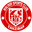 Home team logo