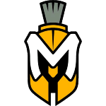 home team logo