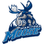Manitoba Moose
