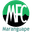 Home team logo
