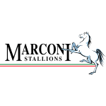 League logo