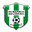Home team logo