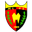 Home team logo