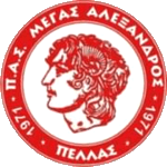 home team logo