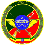 Дефенс Форс logo