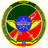 Дефенс Форс logo
