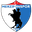 Home team logo