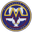 Home team logo