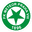 Home team logo