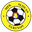 Home team logo