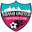 Home team logo