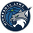 Minnesota Lynx