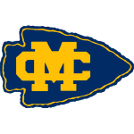 home team logo