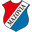 Home team logo