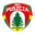 Home team logo