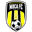 Home team logo