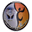 Home team logo