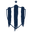 Home team logo