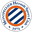 Home team logo