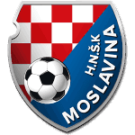 HNŠK Moslavina Kutina logo