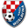 Home team logo